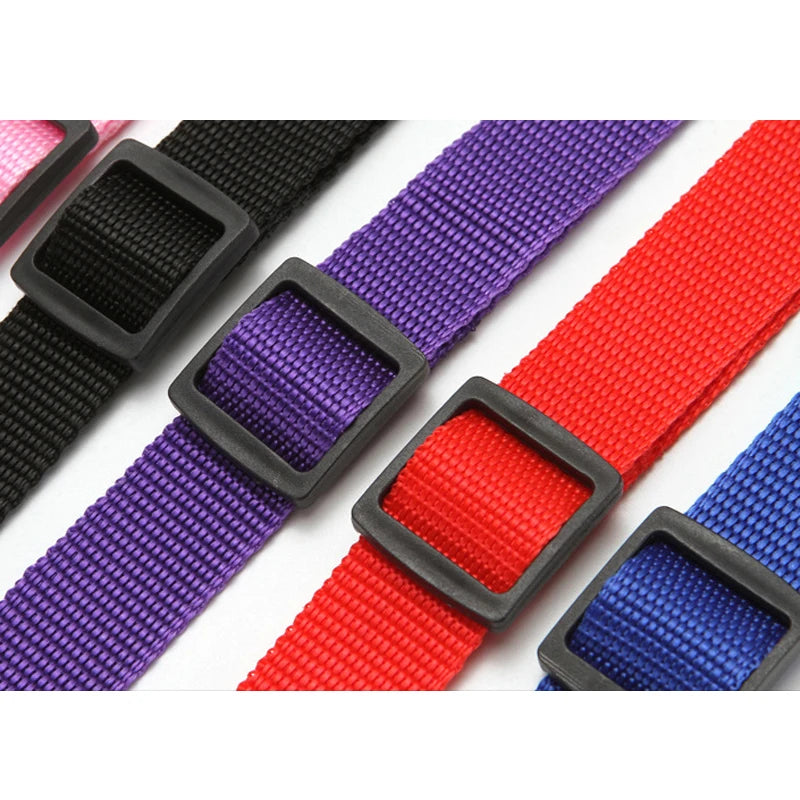 Solid Color Two-in-one Pet Car Seat Belt Nylon Lead Leash Backseat Safety Belt Adjustable Dogs Harness Collar Pet Accessories